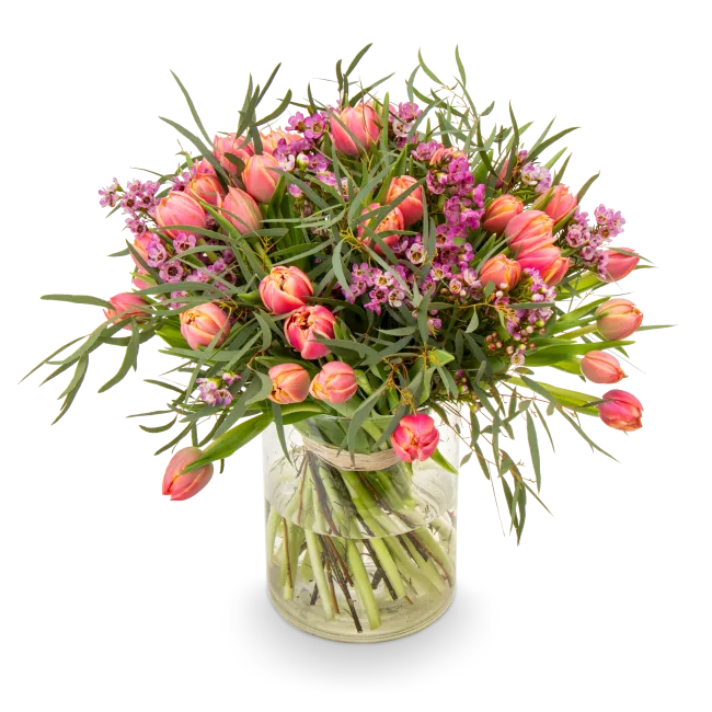 Kytice prémiových tulipánů